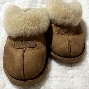 🐑 UGG Classic Slipper II 🐑